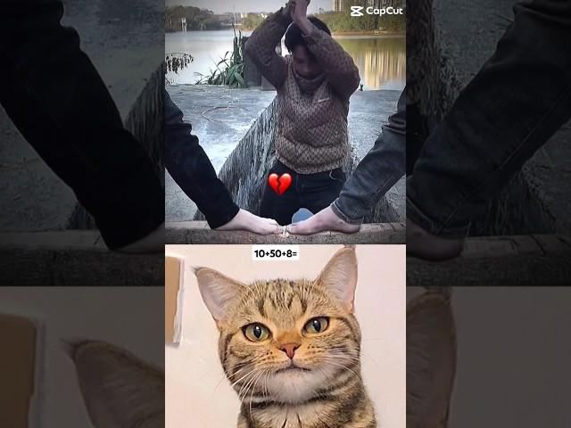 fast reflex  #cat #meme #funny #trending