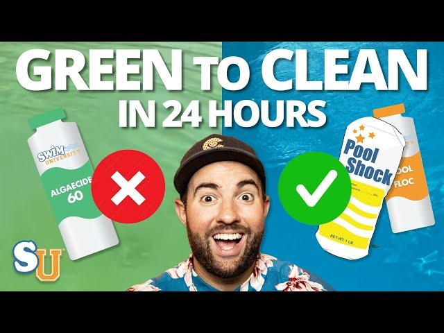 Clear Up a GREEN POOL in 24 Hours (With NO Algaecide) | Swim University