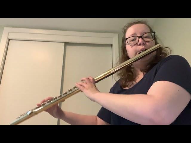 Selena Gomez - Let Me Get Me - Alto Flute Cover - Hannah Haefele