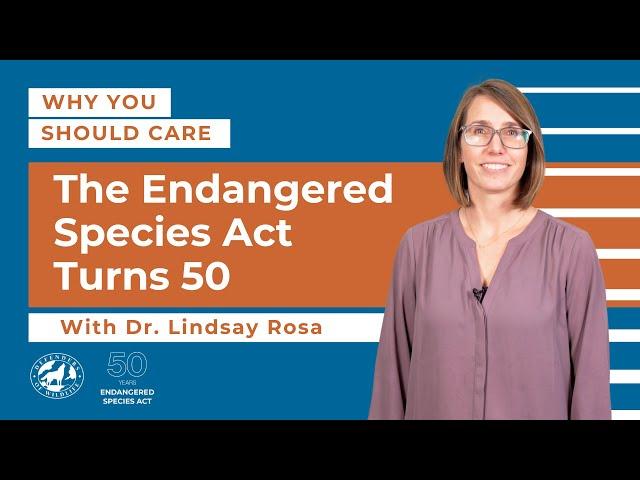 Why You Should Care: The Endangered Species Act Turns 50