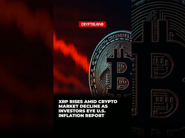XRP Rises Amid Crypto Market Decline as Investors Eye U.S. Inflation Report