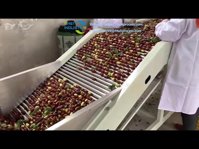 popular dates jujube sorting machine, fruits grading machine