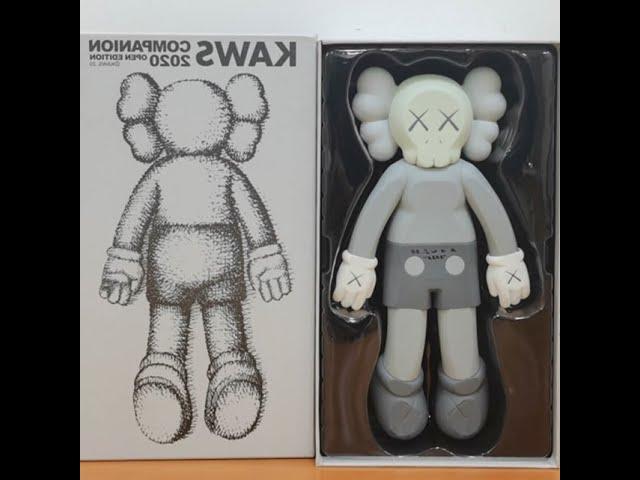 Kaws 2020 companion