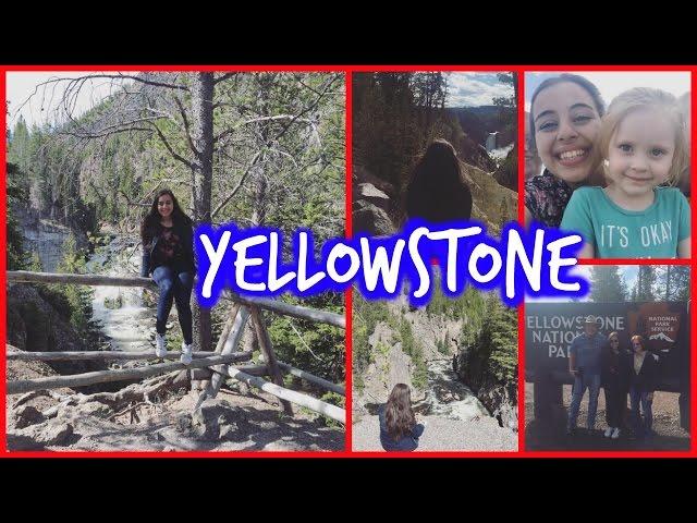 Diario de intercambio #Vlog : Yellowstone