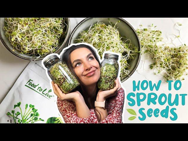 HOW TO SPROUT SEEDS | EASY GUIDE | Foolproof Method