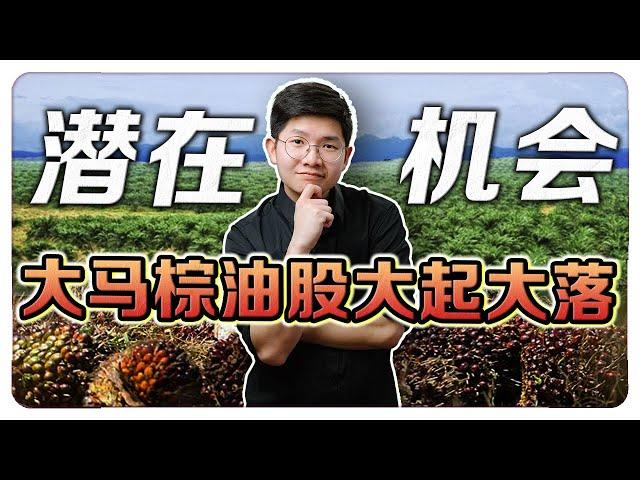 棕油，马来西亚的宝藏资源?！如何从中获利?! | 【乐学成长空间 - LXInvest】