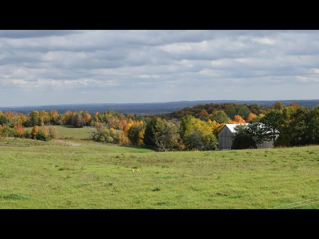 Dufferin County Council Special Meeting - August 27, 2024 Post Closed Session