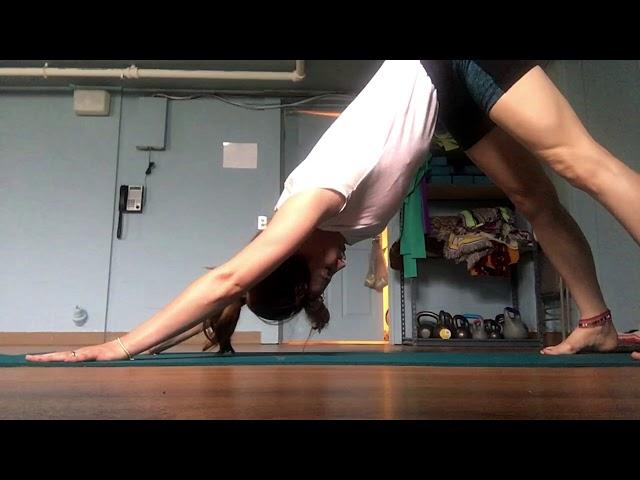 Downward Facing Dog Pose, Iyengar Yoga- Adho Mukha Svanasana