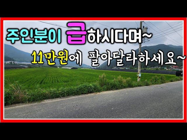 너무 급해요!!! 밀양 초동면 논 11만원 급매매 6000㎡ (1815평)