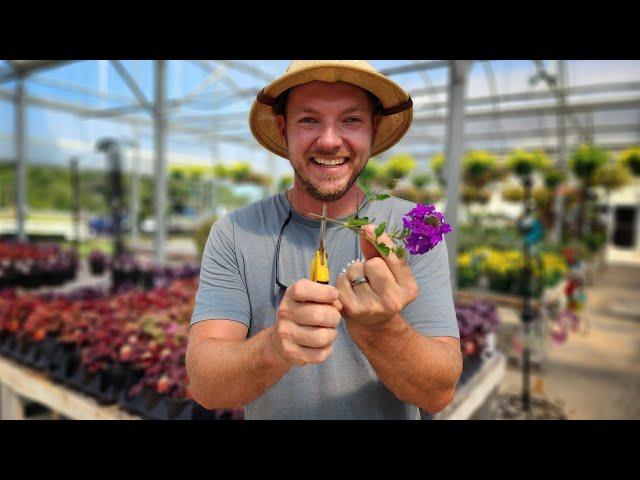 How to Propagate any Plant |Multiply Your Plants for Free!|