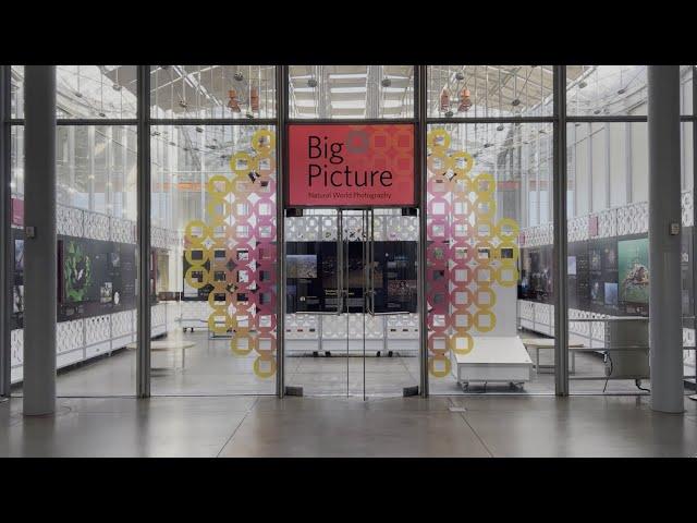 BigPicture - 10th Anniversary | California Academy of Sciences