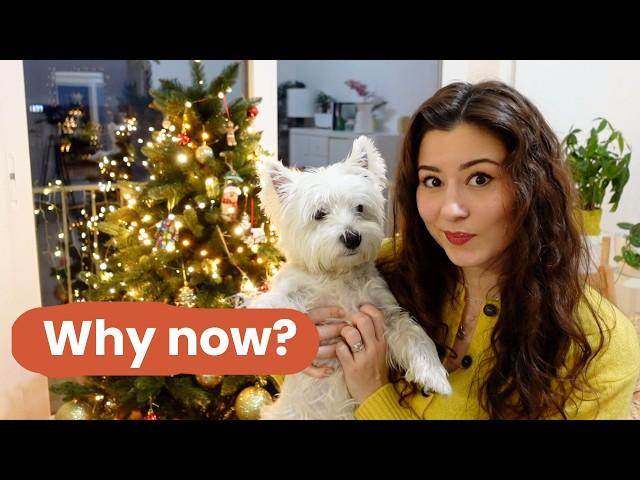 FINALLY neutering my Westie dog | Pros and cons