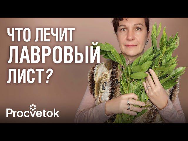 ВСЕГО 2 ЛИСТИКА ПОМОГУТ ОТ БОЛИ В СУСТАВАХ, ВИРУСОВ И ПАРАЗИТОВ! Целебный отвар из лаврового листа