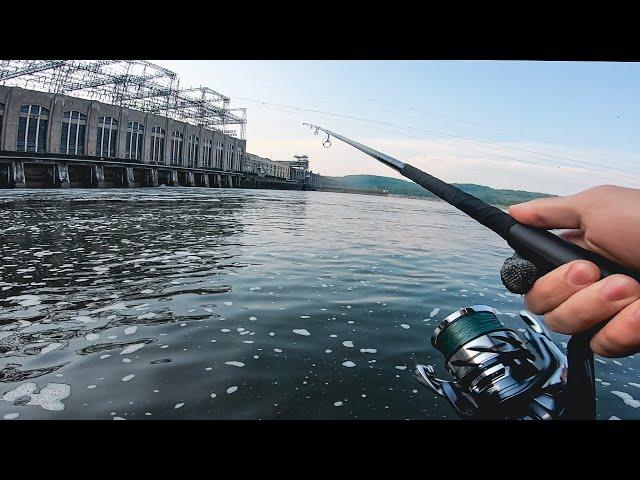 Dam Fishing for LOADED Striped Bass (Striper Fishing) | East Coast EP.3