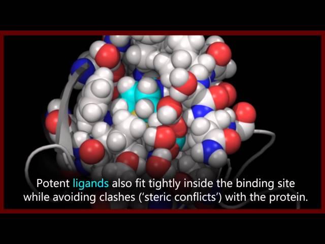 A basic introduction to drugs, drug targets, and molecular interactions.