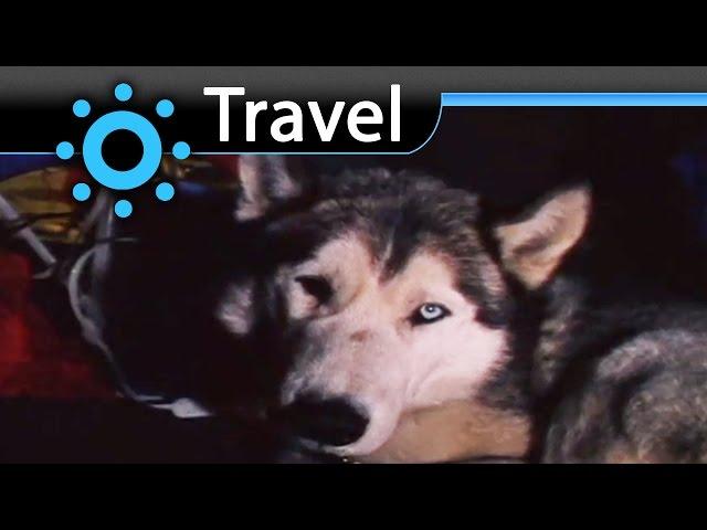 Himalayas Expedition with Huskys (Nanuk) Vacation Travel Video Guide