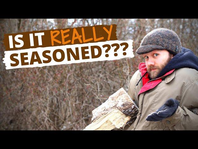 How To Tell If Firewood Is Seasoned (Without a Moisture Meter)