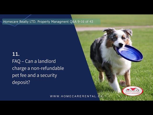 HomecareRealty QA 09 16