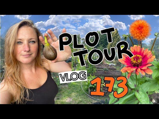 Plot Tour - The Allotment Garden in July || Plot 37