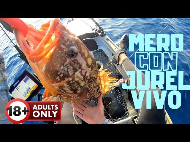 MERO pesca al VIVO [Vlog#5]