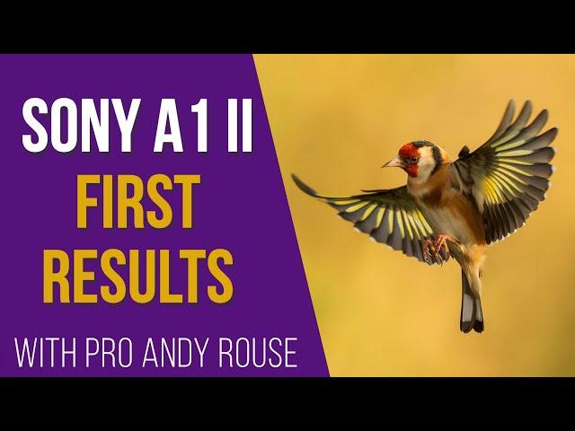 Andy Rouse first images from Sony A1 MKII pre capture speed boost new AI AF subject detect