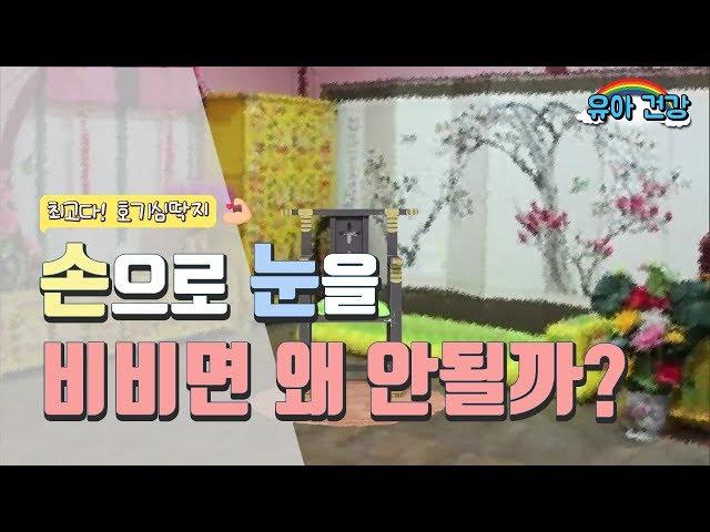 [유아 건강교육] 최고다! 호기심 딱지 - 17차시. 손으로 눈을 비비면 왜 안될까?