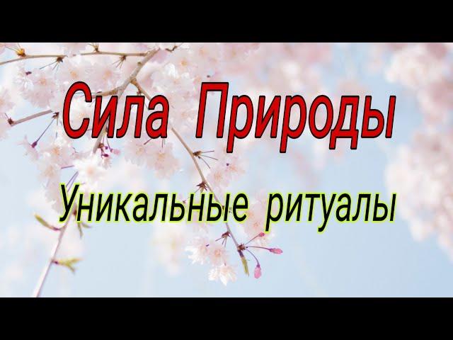 Сила Природы. Уникальные ритуалы. | Тайна Жрицы |