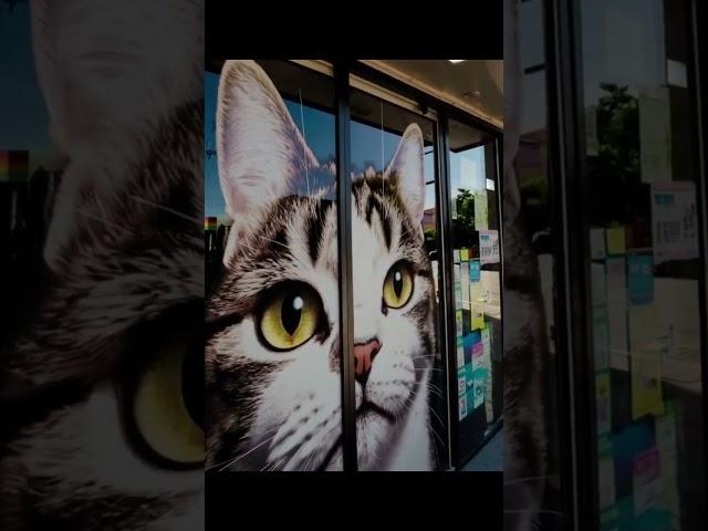 Giant Cat Illusion Creative Storefront Cat Decoration 