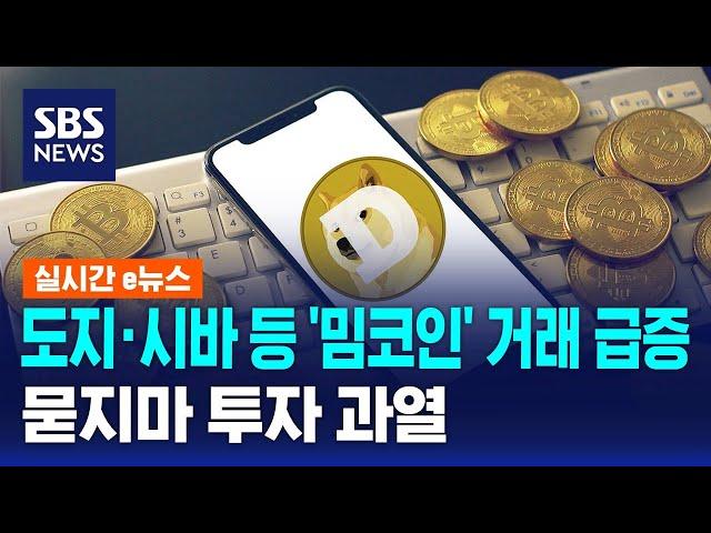 도지·시바 등 '밈코인' 거래 급증…묻지마 투자 과열 / SBS / 실시간 e뉴스