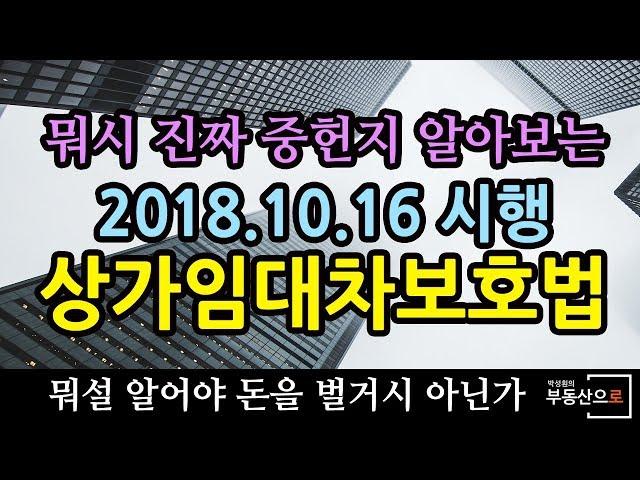 상가건물임대차보호법 개정법률 개정 정리 - 부동산전문가 박성훤교수의 명쾌한 정리