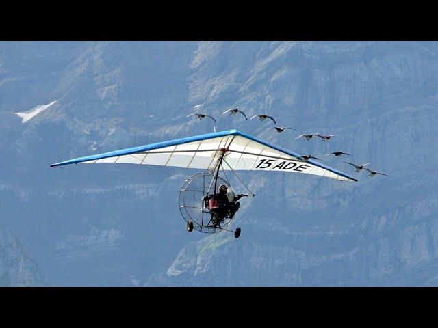 Christian Moullec flying with the Birds Zigermeet 2019 Mollis AirShow