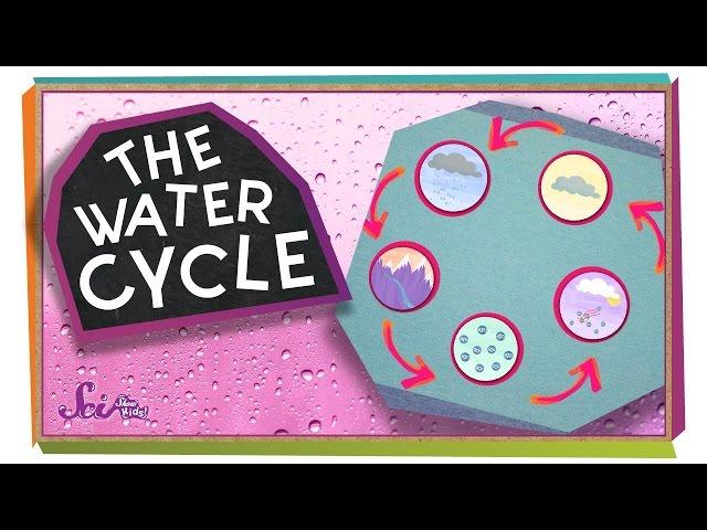 Where Does Water Come From? | Ecology for Kids