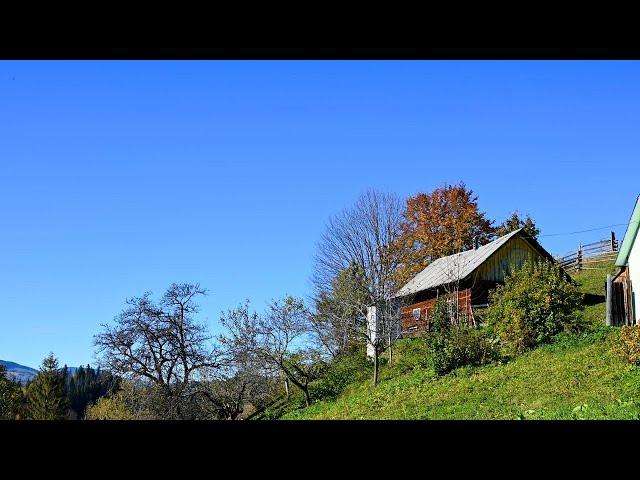 Old Woman Living Alone in the Mountains. Life Far from Civilization