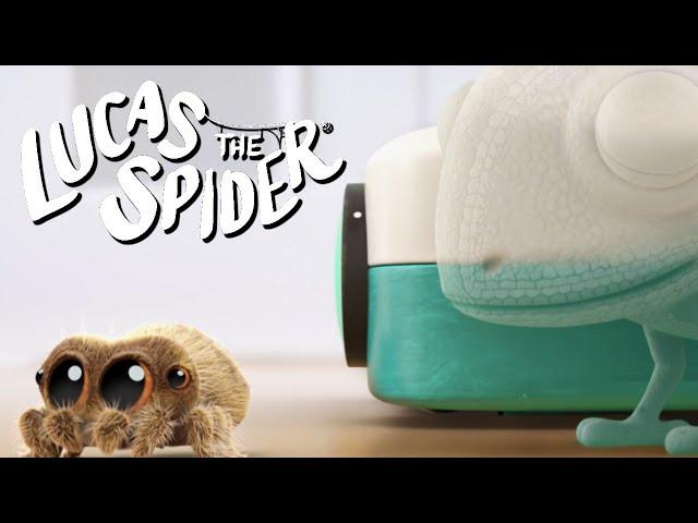 Hide and Seek with Lucas the Spider!