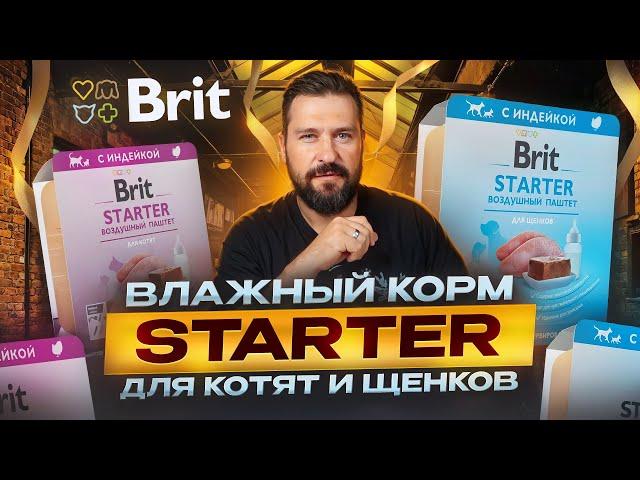 Brit Starter корм для самых маленьких | Корм для котят и для щенков | Прикорм для котенка или щенка