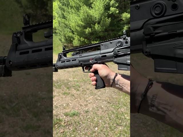 Would you want one? (Springfield Armory Hellion)