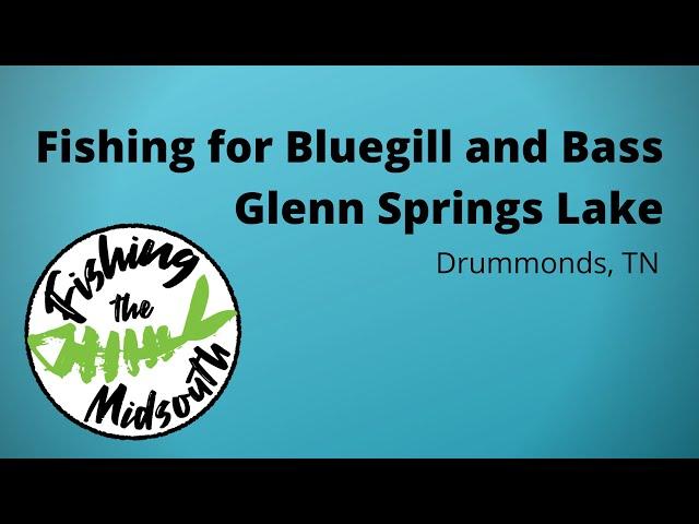 Bluegill and Bass on Glenn Springs Lake