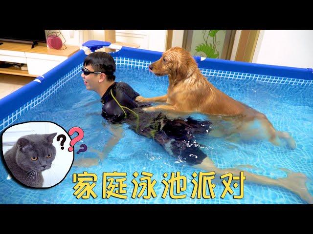 The owner installed a giant swimming pool at home. The Golden Retriever is broken