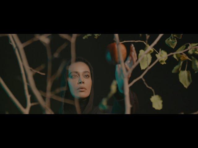 Ehsan Daryadel - Dordoone