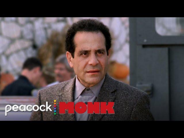 Adrian Monk: Misunderstood Genius | Monk