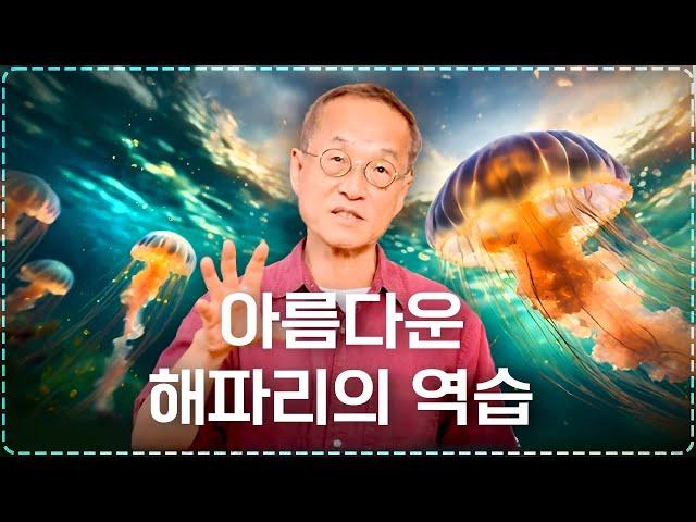 초대형 해파리가 점령한 동해안, 바다가 아픈걸까? 대한민국 환경 | 최재천의 아마존