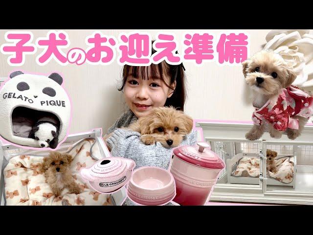 【子犬のお迎え準備】ななぽの妹を紹介かわいすぎる妹にグッズが止まらない【Cuugal】