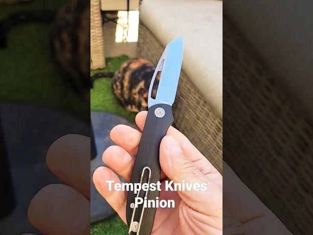 #newknife  - Tempest Knives Pinion #youtubeshorts