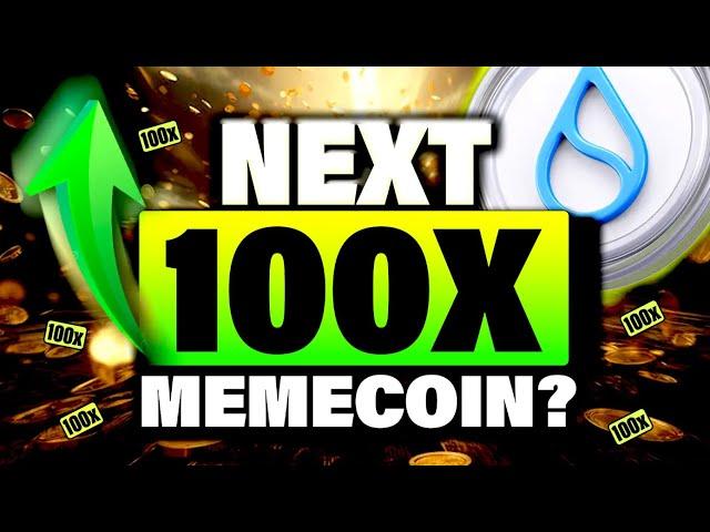 YOUR BEST CHANCE: Top 4 100x Meme Coins On SUI