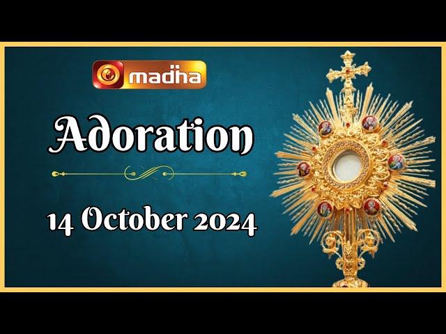  LIVE 14 October 2024 Adoration 11:00 AM | Madha TV