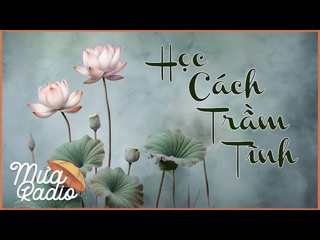 HỌC CÁCH TRẦM TĨNH - Đừng Vội Phán Xét Ai - Mưa Radio