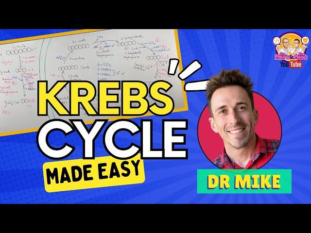 Krebs Cycle | Made Easy!