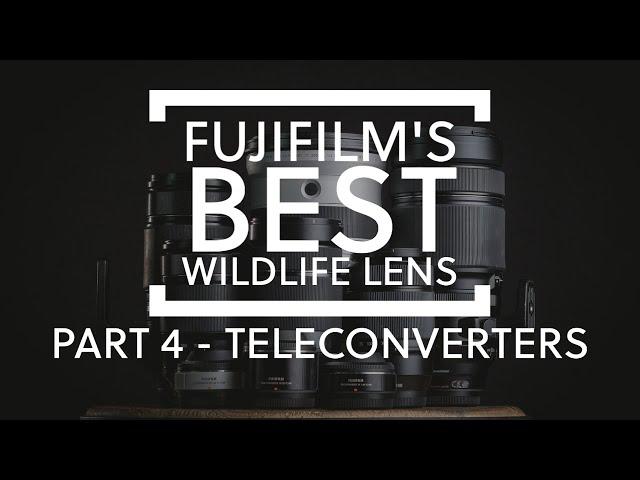 What is Fujifilm's best lens for wildlife photography - PART 4 - Teleconverters