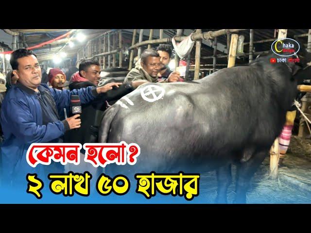 ২ লাখ ৫০ হাজারে টানাটানি করে মহিষটি কিনলেন! গাবতলী ২০২৪