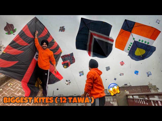 Flying Kites On Sunday  *12 TAWA* Patangbazi | Kite Vlog